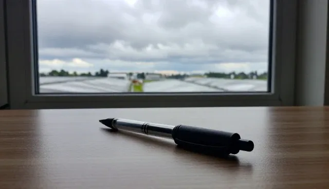 项目咨询的适用场景与限制条件分析